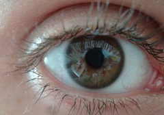 Einen Augenblick Pause schenken