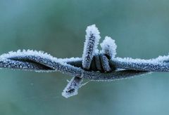 Weihnachtshektik trifft auf Kaltluft
